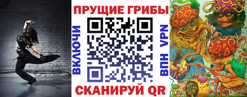 Купить закладки  Переславль-Залесский  Галлюциногенные грибы мицелий 